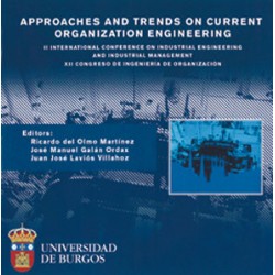 Approaches and trends on current organization engineering